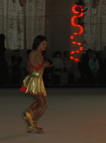 DSC_2811.gif