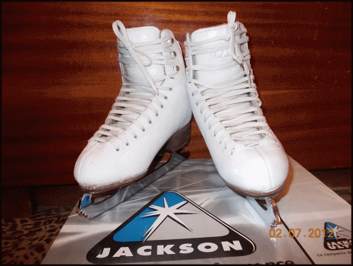 DSCN0381.gif