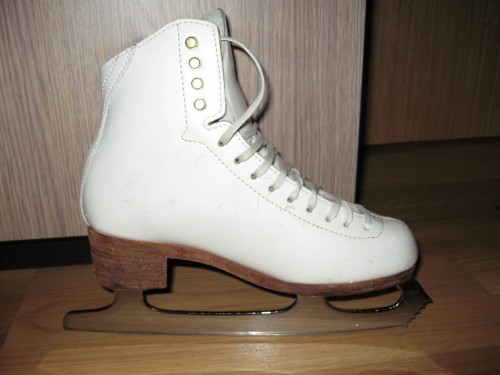 Skates1.JPG