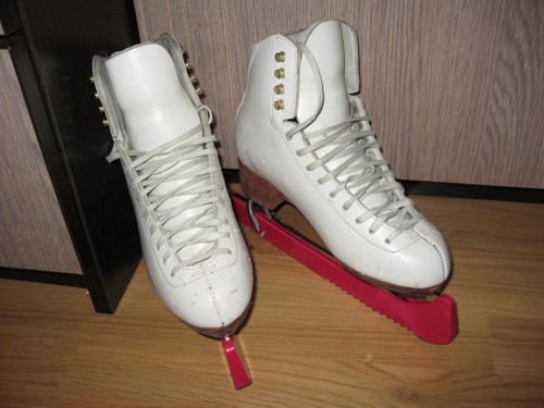 Skates2.JPG