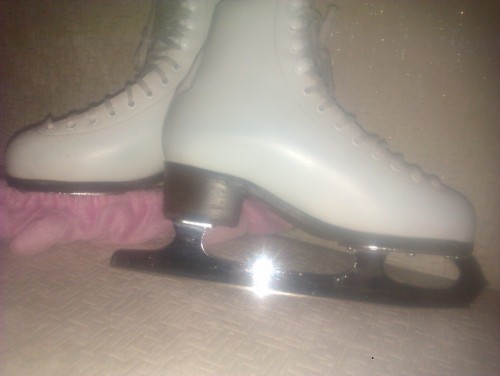 IMAG0222.jpg