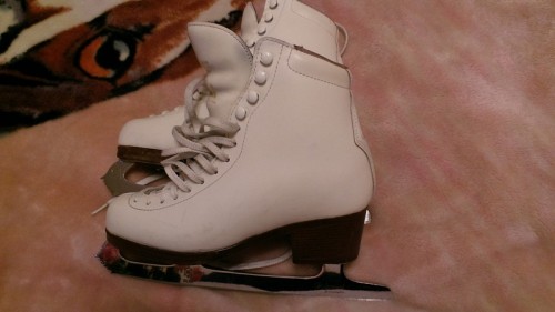 skateua.jpg