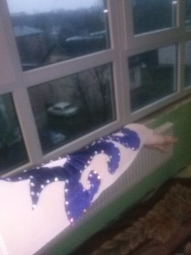 CAM02950.jpg